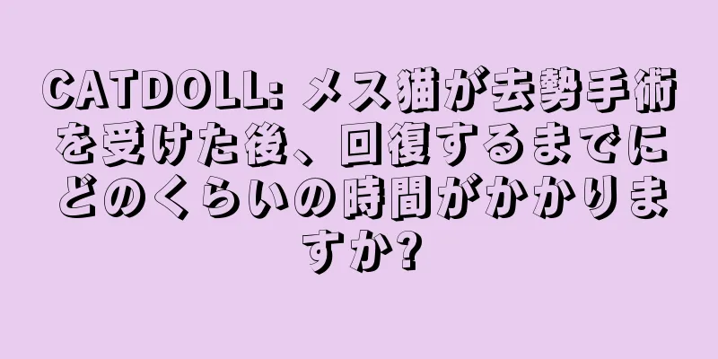 CATDOLL: メス猫が去勢手術を受けた後、回復するまでにどのくらいの時間がかかりますか?