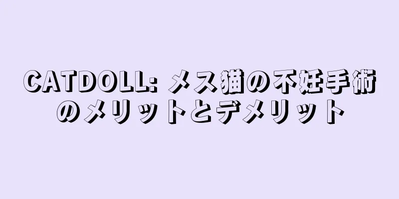 CATDOLL: メス猫の不妊手術のメリットとデメリット