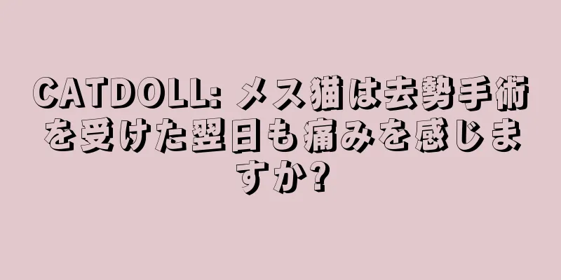 CATDOLL: メス猫は去勢手術を受けた翌日も痛みを感じますか?