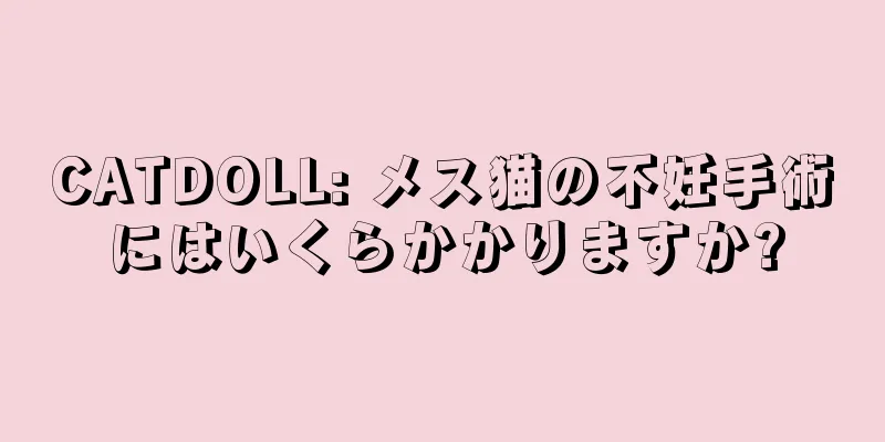 CATDOLL: メス猫の不妊手術にはいくらかかりますか?