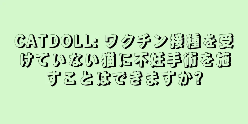 CATDOLL: ワクチン接種を受けていない猫に不妊手術を施すことはできますか?