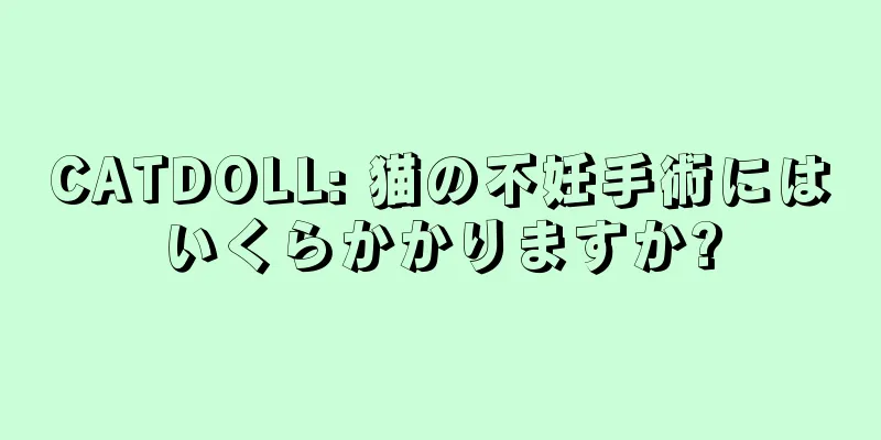 CATDOLL: 猫の不妊手術にはいくらかかりますか?
