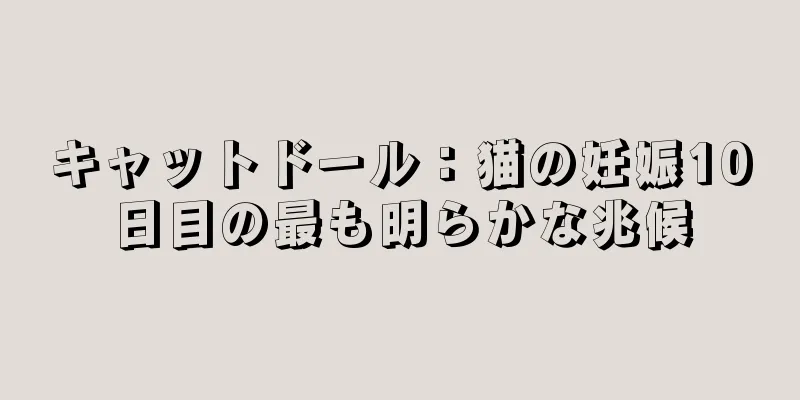 キャットドール：猫の妊娠10日目の最も明らかな兆候