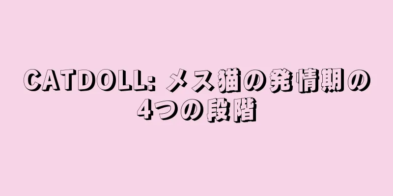 CATDOLL: メス猫の発情期の4つの段階