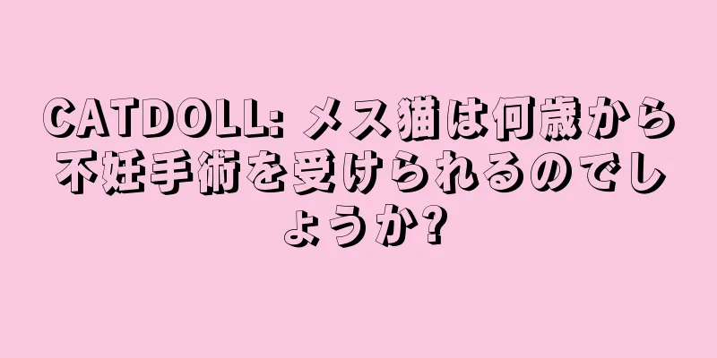 CATDOLL: メス猫は何歳から不妊手術を受けられるのでしょうか?