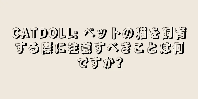 CATDOLL: ペットの猫を飼育する際に注意すべきことは何ですか?