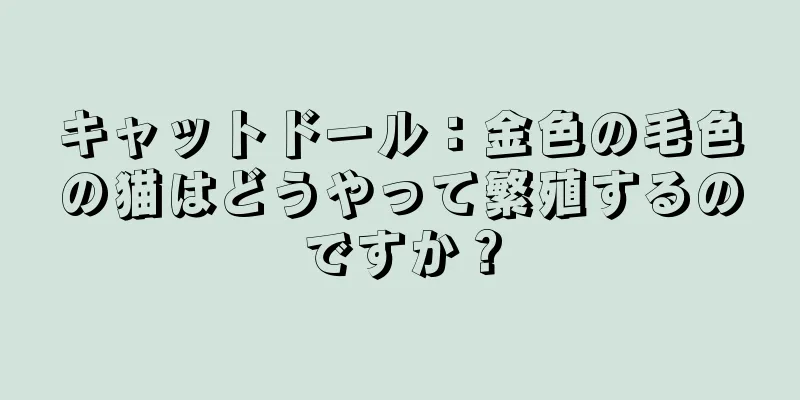 キャットドール：金色の毛色の猫はどうやって繁殖するのですか？