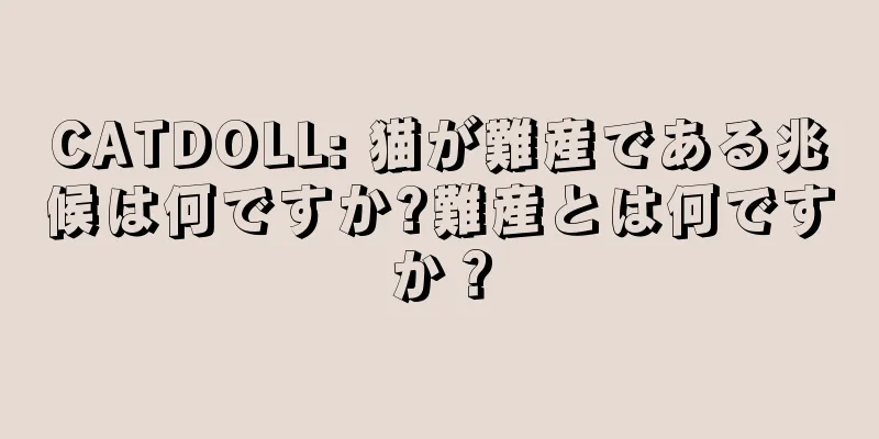 CATDOLL: 猫が難産である兆候は何ですか?難産とは何ですか？