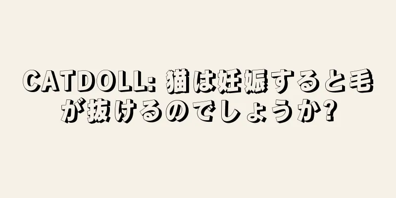 CATDOLL: 猫は妊娠すると毛が抜けるのでしょうか?