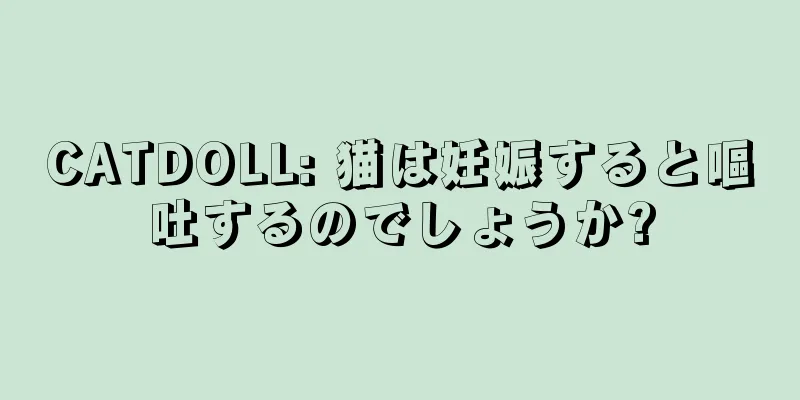 CATDOLL: 猫は妊娠すると嘔吐するのでしょうか?