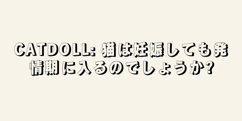 CATDOLL: 猫は妊娠しても発情期に入るのでしょうか?