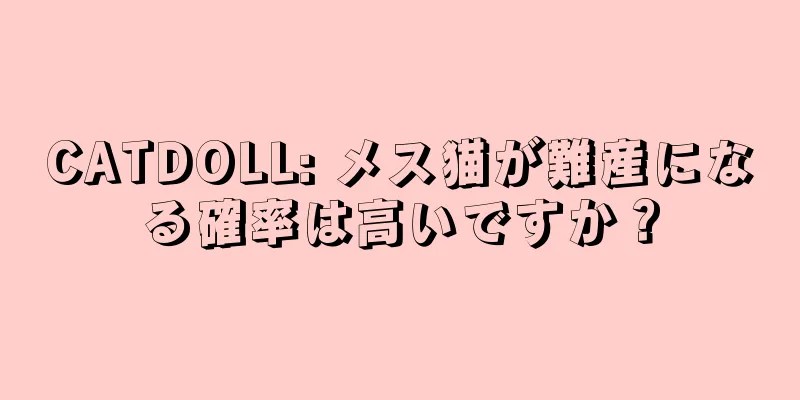CATDOLL: メス猫が難産になる確率は高いですか？