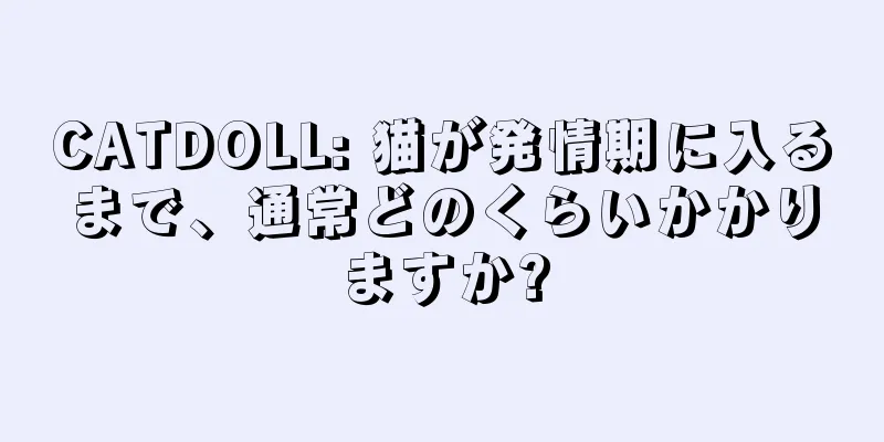 CATDOLL: 猫が発情期に入るまで、通常どのくらいかかりますか?