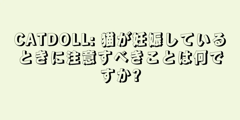 CATDOLL: 猫が妊娠しているときに注意すべきことは何ですか?