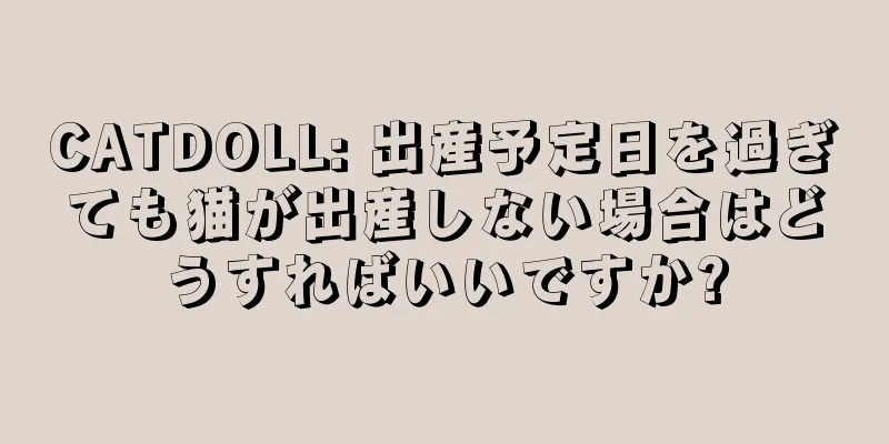 CATDOLL: 出産予定日を過ぎても猫が出産しない場合はどうすればいいですか?