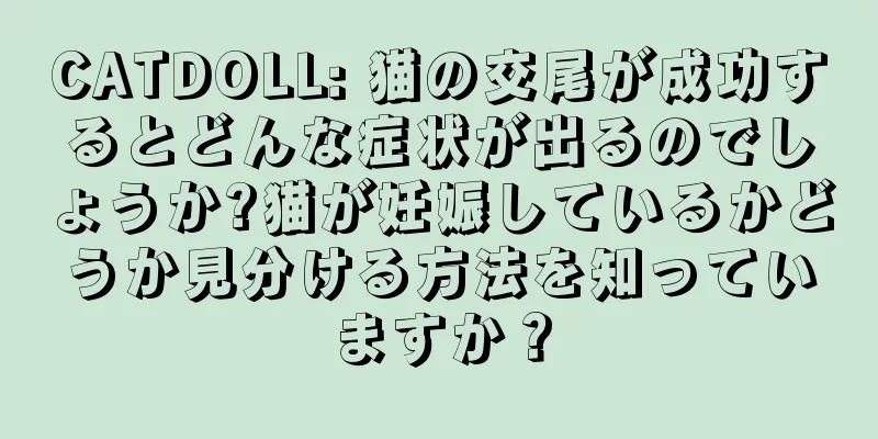CATDOLL: 猫の交尾が成功するとどんな症状が出るのでしょうか?猫が妊娠しているかどうか見分ける方法を知っていますか？