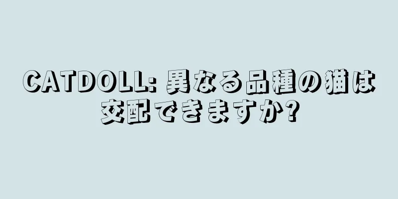 CATDOLL: 異なる品種の猫は交配できますか?