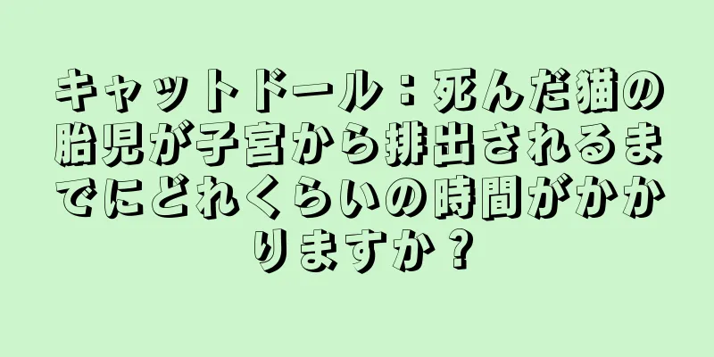 キャットドール：死んだ猫の胎児が子宮から排出されるまでにどれくらいの時間がかかりますか？