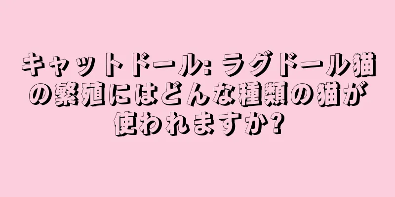 キャットドール: ラグドール猫の繁殖にはどんな種類の猫が使われますか?