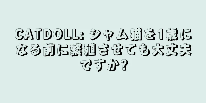 CATDOLL: シャム猫を1歳になる前に繁殖させても大丈夫ですか?