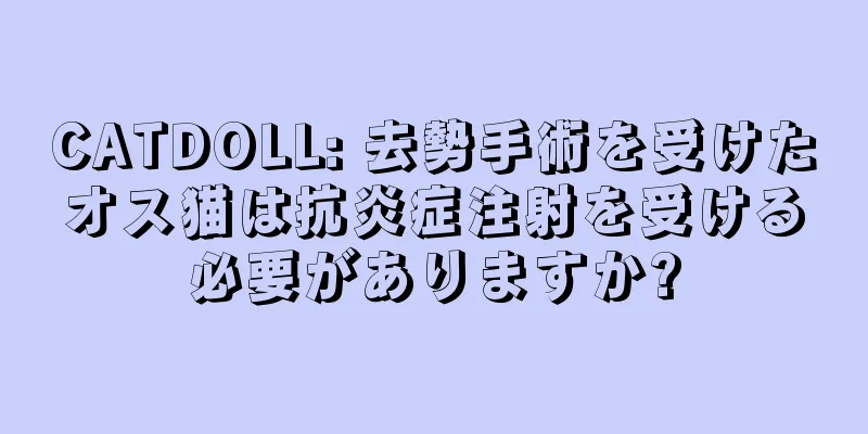 CATDOLL: 去勢手術を受けたオス猫は抗炎症注射を受ける必要がありますか?