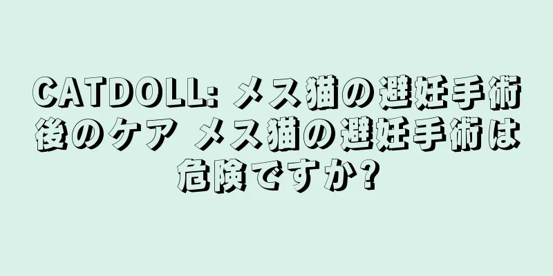 CATDOLL: メス猫の避妊手術後のケア メス猫の避妊手術は危険ですか?