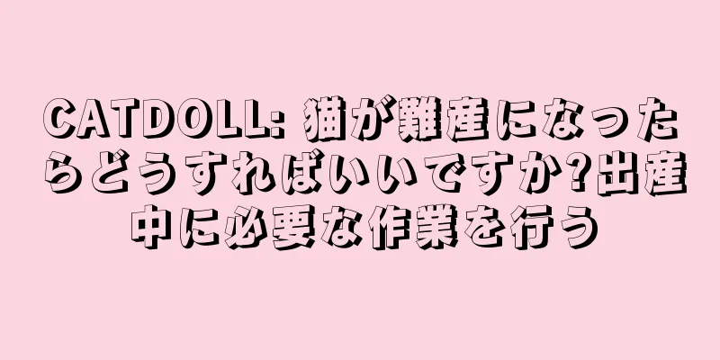 CATDOLL: 猫が難産になったらどうすればいいですか?出産中に必要な作業を行う