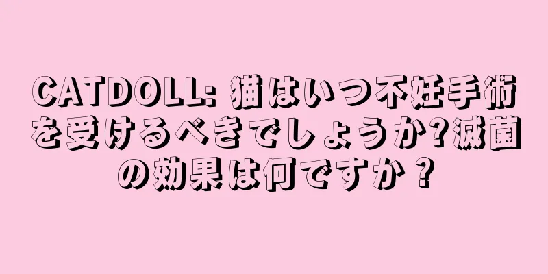 CATDOLL: 猫はいつ不妊手術を受けるべきでしょうか?滅菌の効果は何ですか？