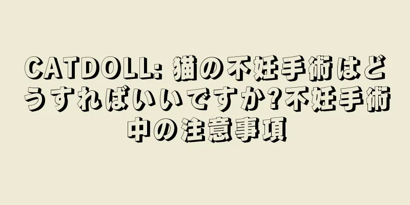 CATDOLL: 猫の不妊手術はどうすればいいですか?不妊手術中の注意事項