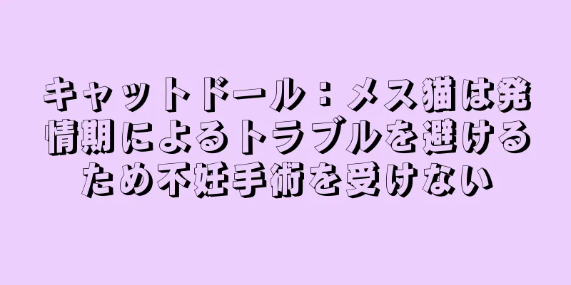 キャットドール：メス猫は発情期によるトラブルを避けるため不妊手術を受けない