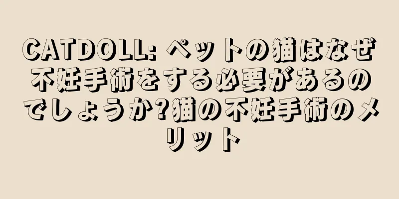 CATDOLL: ペットの猫はなぜ不妊手術をする必要があるのでしょうか?猫の不妊手術のメリット
