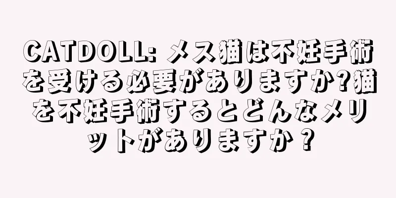 CATDOLL: メス猫は不妊手術を受ける必要がありますか?猫を不妊手術するとどんなメリットがありますか？
