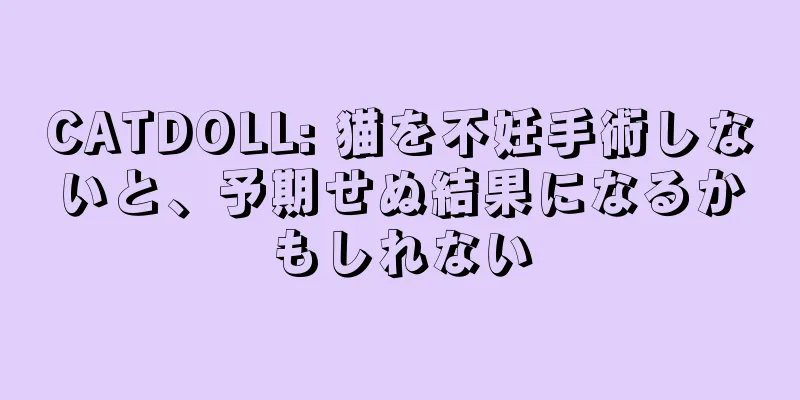 CATDOLL: 猫を不妊手術しないと、予期せぬ結果になるかもしれない