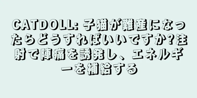 CATDOLL: 子猫が難産になったらどうすればいいですか?注射で陣痛を誘発し、エネルギーを補給する