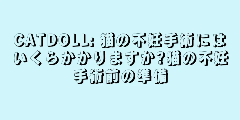 CATDOLL: 猫の不妊手術にはいくらかかりますか?猫の不妊手術前の準備