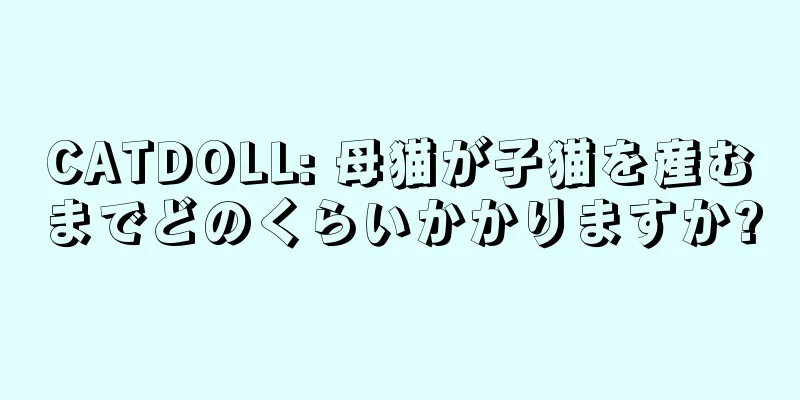 CATDOLL: 母猫が子猫を産むまでどのくらいかかりますか?