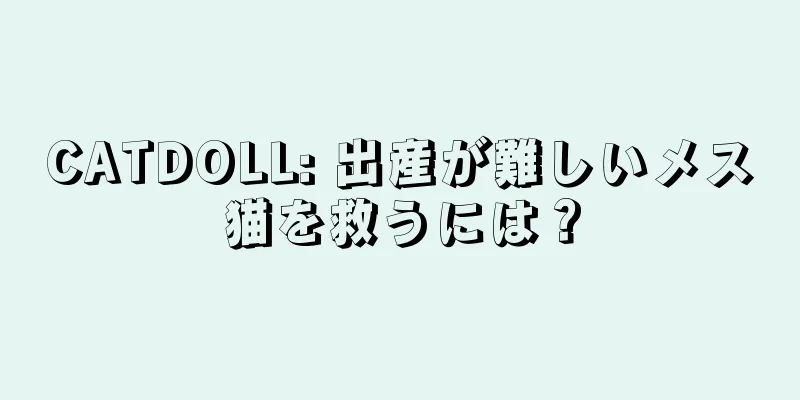 CATDOLL: 出産が難しいメス猫を救うには？