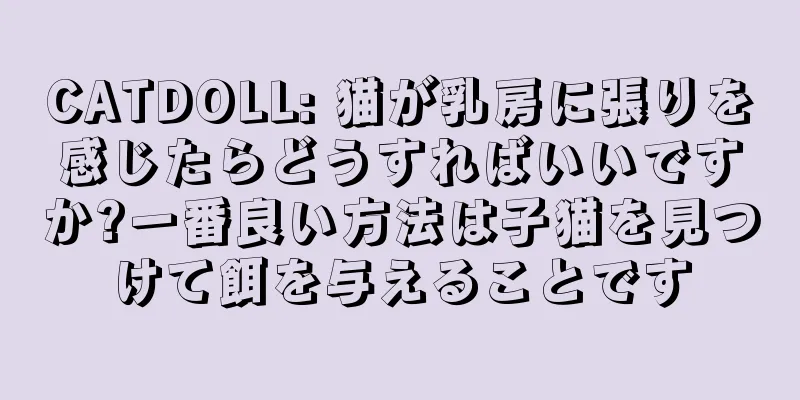 CATDOLL: 猫が乳房に張りを感じたらどうすればいいですか?一番良い方法は子猫を見つけて餌を与えることです