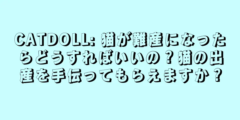 CATDOLL: 猫が難産になったらどうすればいいの？猫の出産を手伝ってもらえますか？