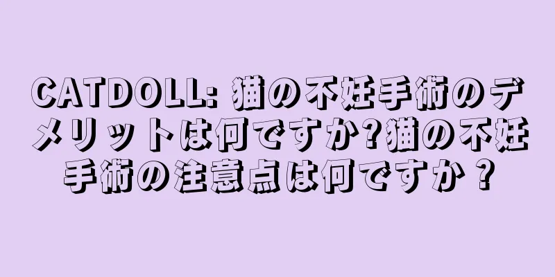 CATDOLL: 猫の不妊手術のデメリットは何ですか?猫の不妊手術の注意点は何ですか？