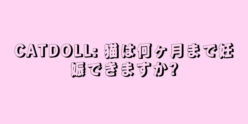 CATDOLL: 猫は何ヶ月まで妊娠できますか?