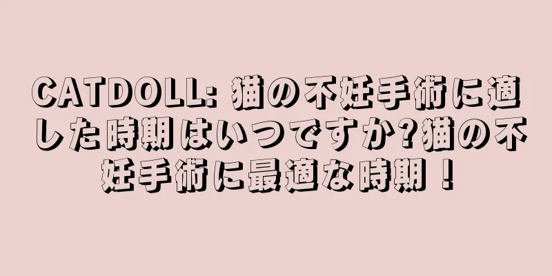 CATDOLL: 猫の不妊手術に適した時期はいつですか?猫の不妊手術に最適な時期！