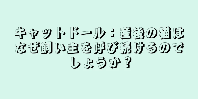 キャットドール：産後の猫はなぜ飼い主を呼び続けるのでしょうか？
