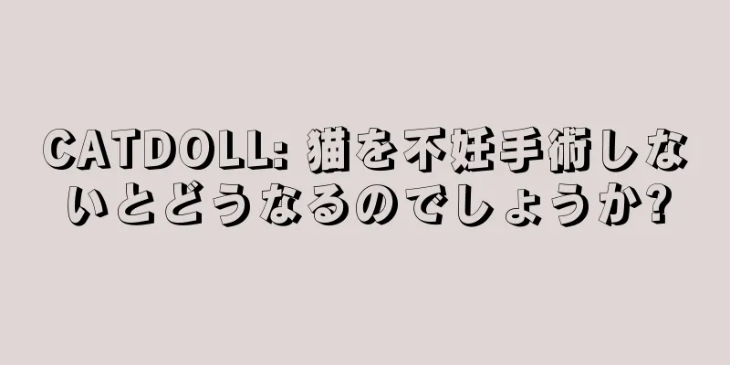 CATDOLL: 猫を不妊手術しないとどうなるのでしょうか?
