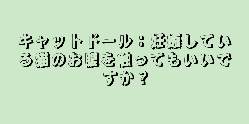 キャットドール：妊娠している猫のお腹を触ってもいいですか？