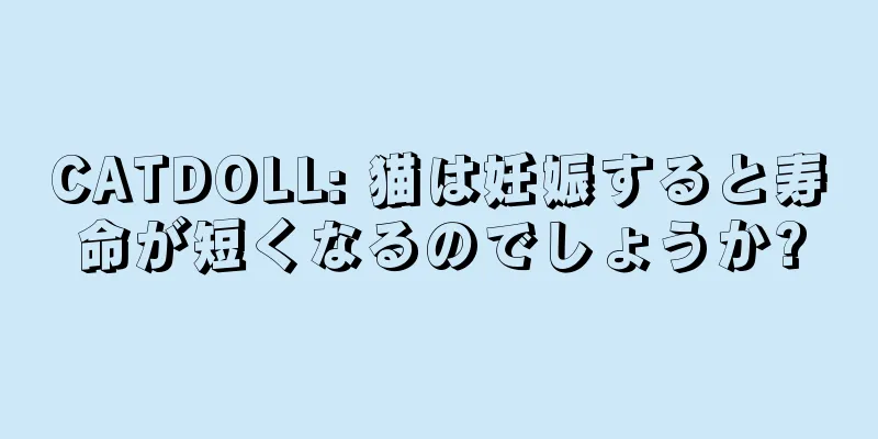 CATDOLL: 猫は妊娠すると寿命が短くなるのでしょうか?