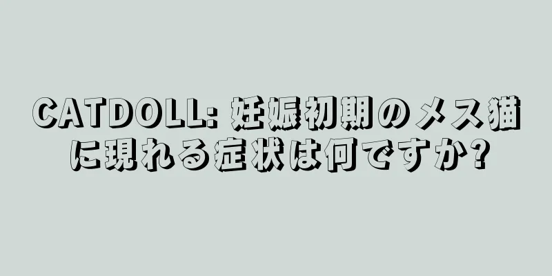 CATDOLL: 妊娠初期のメス猫に現れる症状は何ですか?