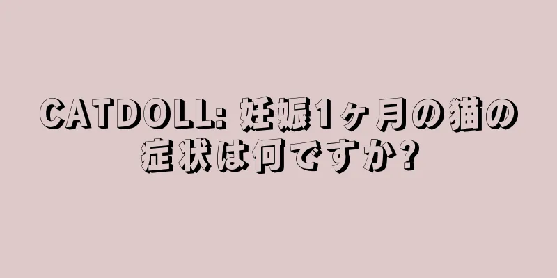 CATDOLL: 妊娠1ヶ月の猫の症状は何ですか?