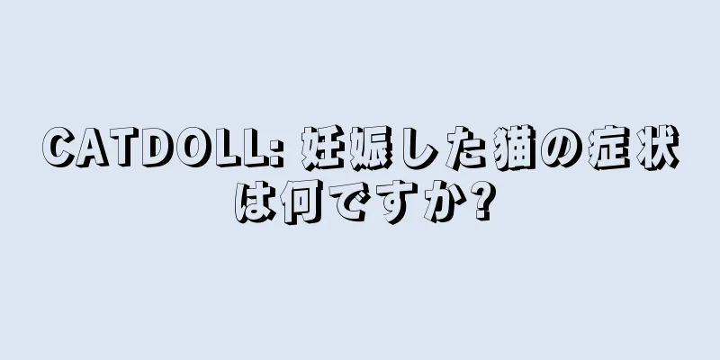 CATDOLL: 妊娠した猫の症状は何ですか?