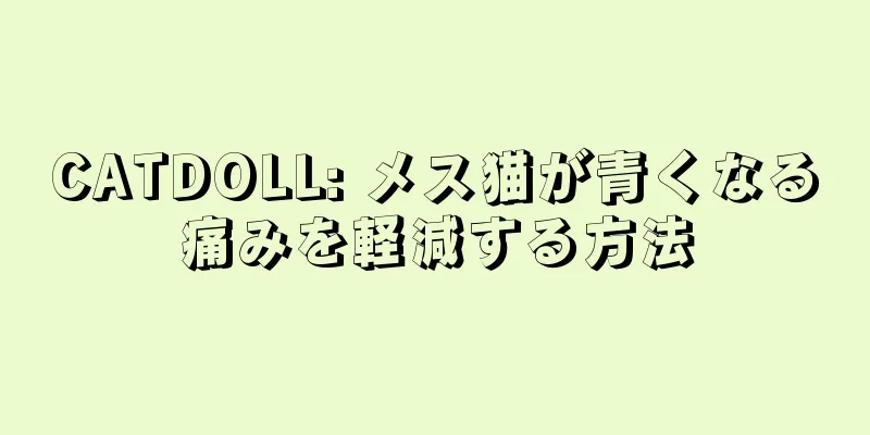 CATDOLL: メス猫が青くなる痛みを軽減する方法